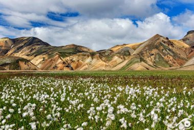 landmannalaugar islande iceland photographie photography trip travel voyage nikon d810 europe nature paysage landscape summer été montagne mountain