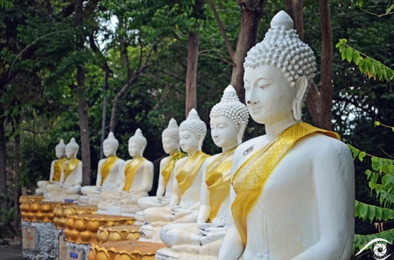 thailande thailand photographie photography trip travel voyage nikon d800 asie asia nature paysage landscape summer statue bouddha, pagode khao chedi